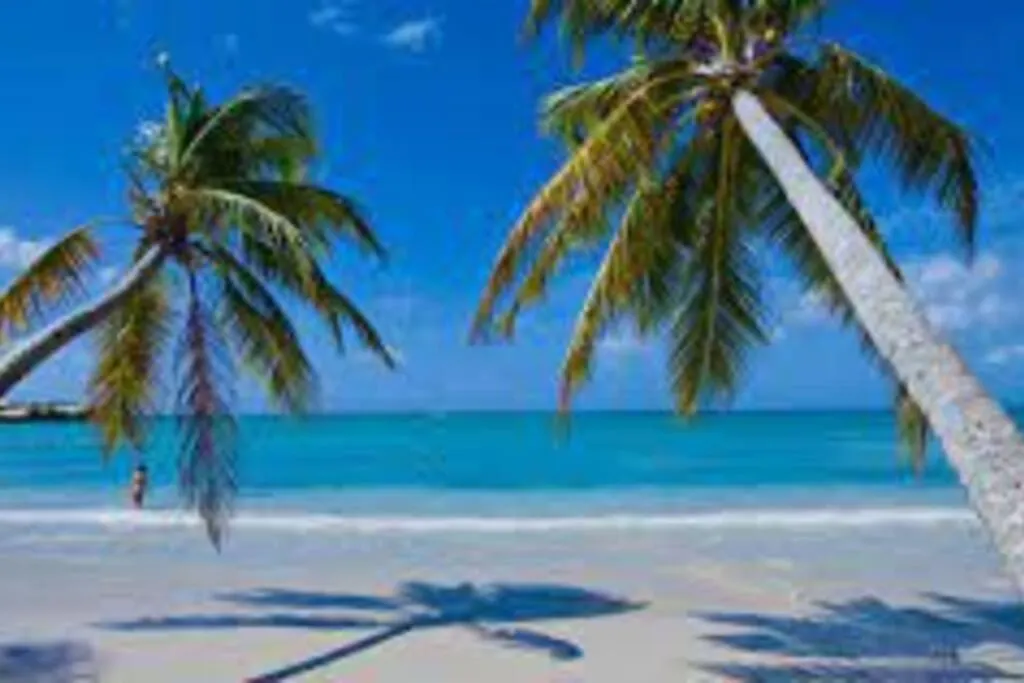 Hermosa Suites #1 In The Heart Of Punta Cana Dominicaanse Republiek